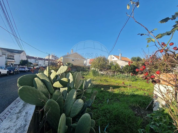 Terreno para Venda em São Domingos de Rana Foto 2