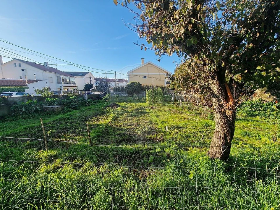 Terreno para Venda em São Domingos de Rana Foto 18