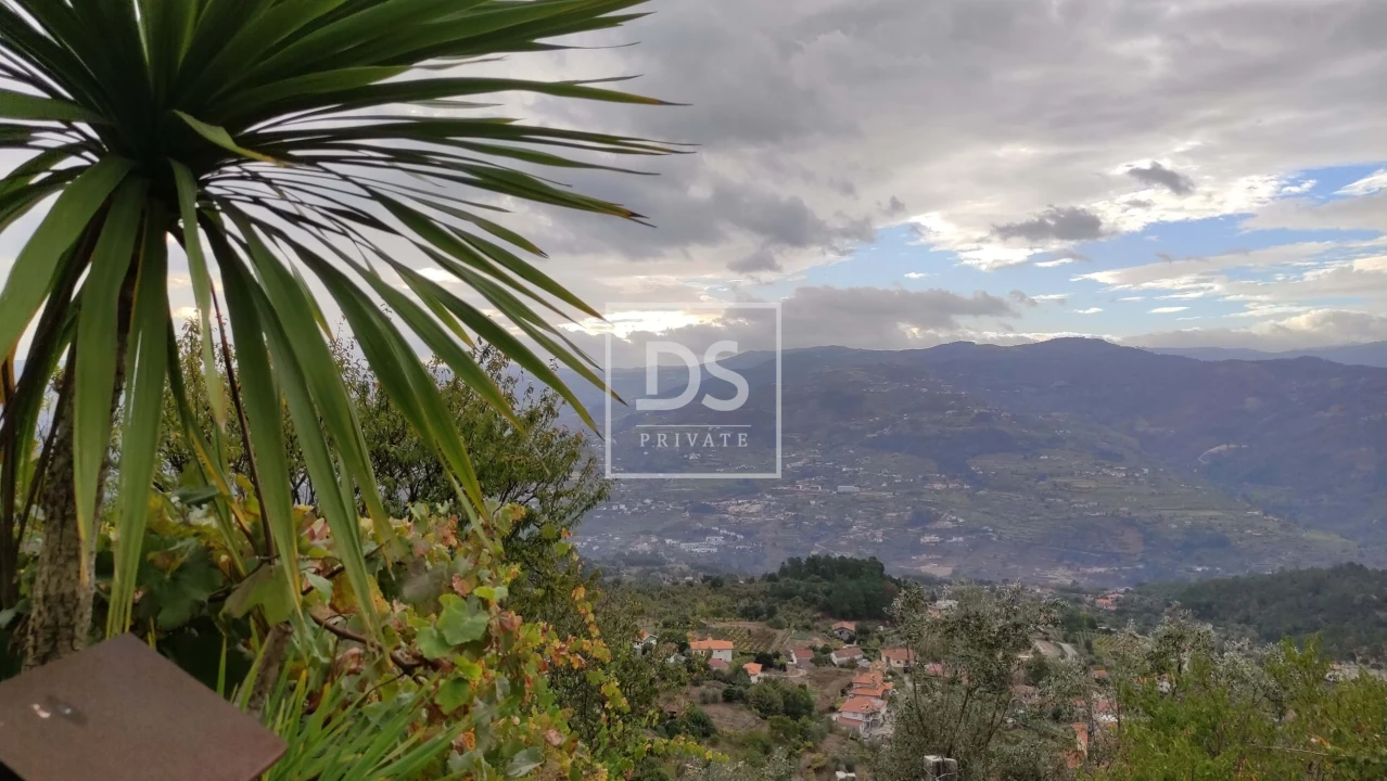 Terreno para Venda em Santa Cruz do Douro e São Tomé de Covelas Foto 17