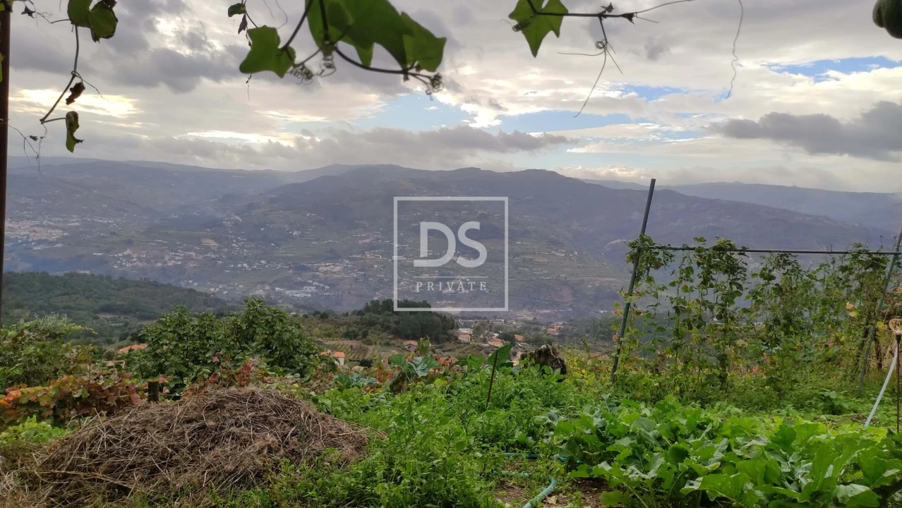 Terreno para Venda em Santa Cruz do Douro e São Tomé de Covelas Foto 10