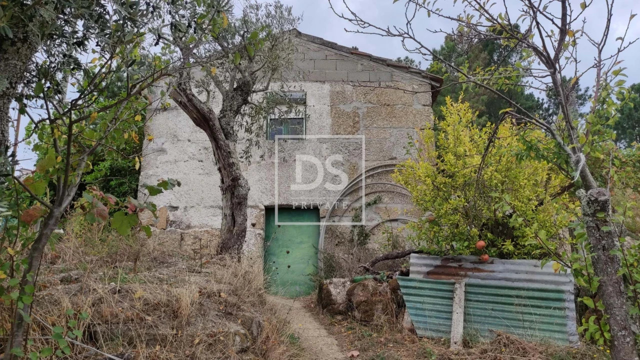 Terreno para Venda em Santa Cruz do Douro e São Tomé de Covelas Foto 5