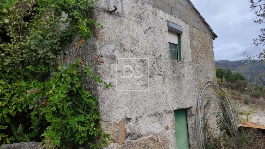 Terreno para Venda em Santa Cruz do Douro e São Tomé de Covelas Foto 3