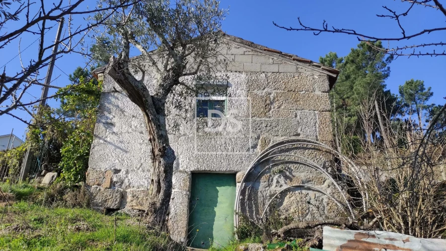 Terreno para Venda em Santa Cruz do Douro e São Tomé de Covelas Foto 2