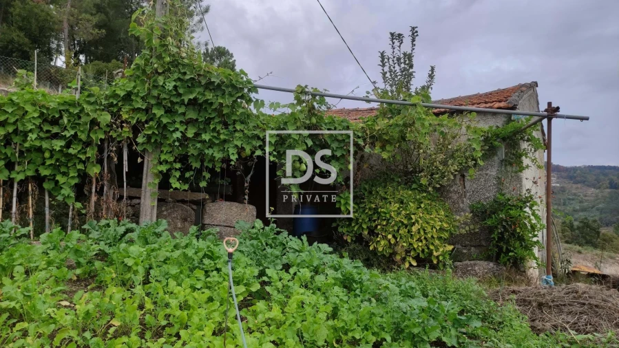 Terreno para Venda em Santa Cruz do Douro e São Tomé de Covelas Foto 19