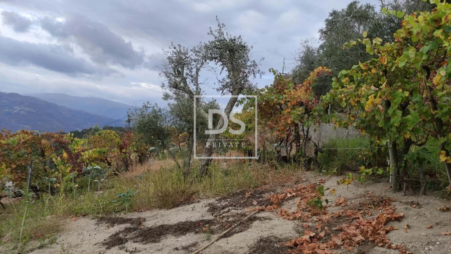 Terreno para Venda em Santa Cruz do Douro e São Tomé de Covelas Foto 15