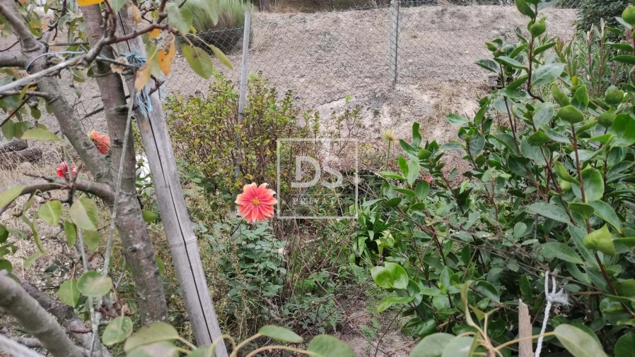 Terreno para Venda em Santa Cruz do Douro e São Tomé de Covelas Foto 18