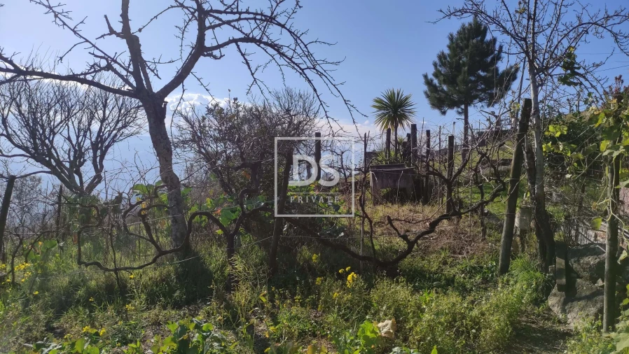 Terreno para Venda em Santa Cruz do Douro e São Tomé de Covelas Foto 14