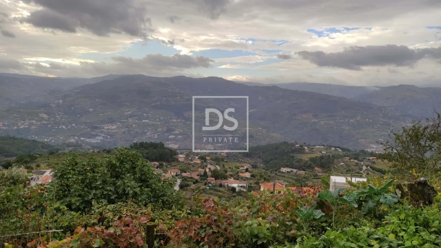 Terreno para Venda em Santa Cruz do Douro e São Tomé de Covelas Foto 11
