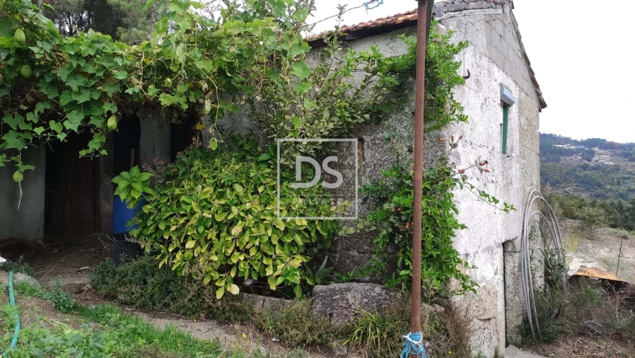 Terreno para Venda em Santa Cruz do Douro e São Tomé de Covelas Foto 6