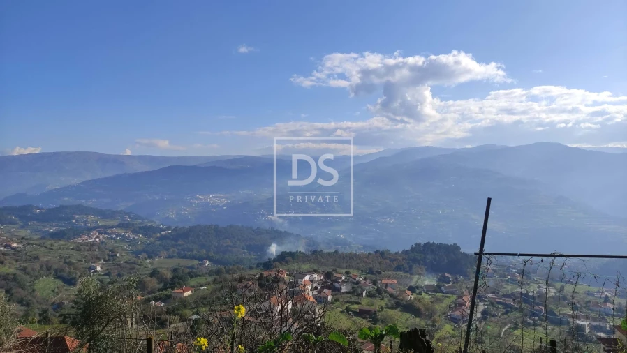 Terreno para Venda em Santa Cruz do Douro e São Tomé de Covelas Foto 13