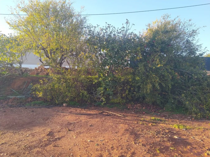 Terreno para Venda em São Silvestre Foto 5
