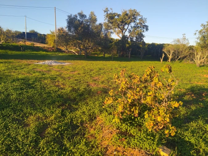 Terreno para Venda em São Silvestre Foto 4