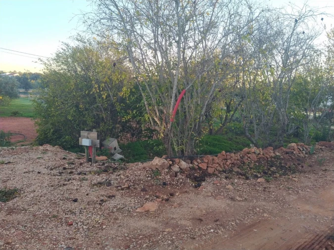 Terreno para Venda em São Silvestre