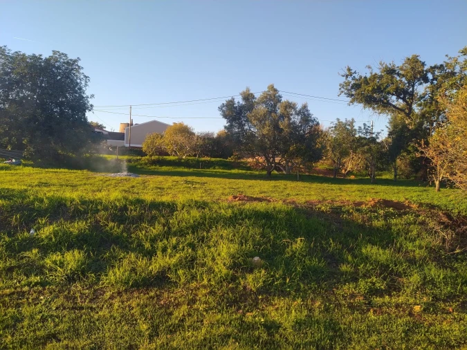 Terreno para Venda em São Silvestre Foto 8