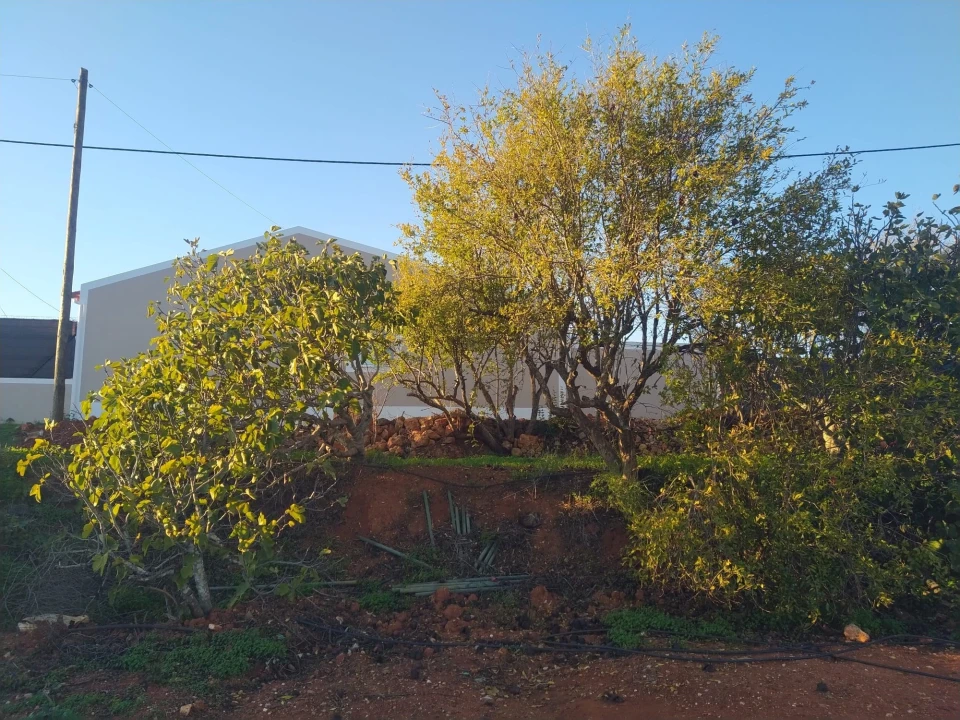 Terreno para Venda em São Silvestre Foto 7