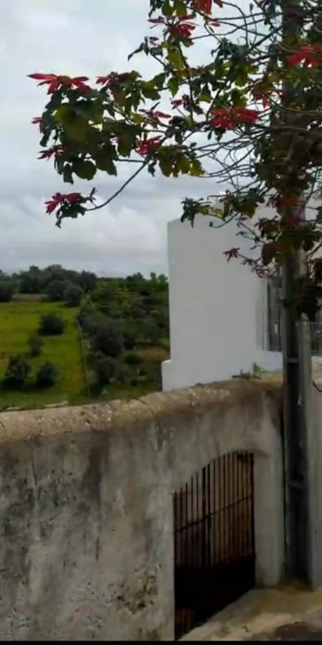 Terreno para Venda em São Silvestre Foto 8