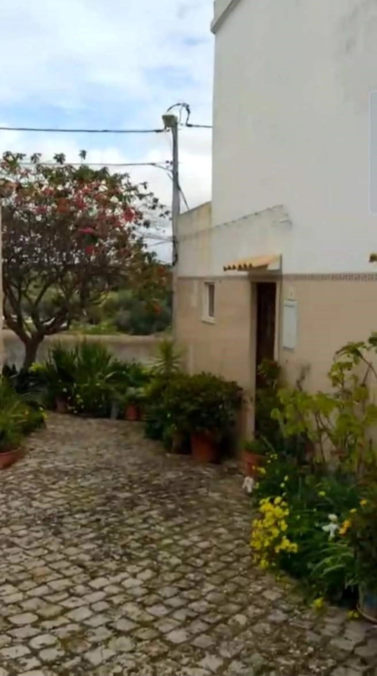 Terreno para Venda em São Silvestre Foto 2