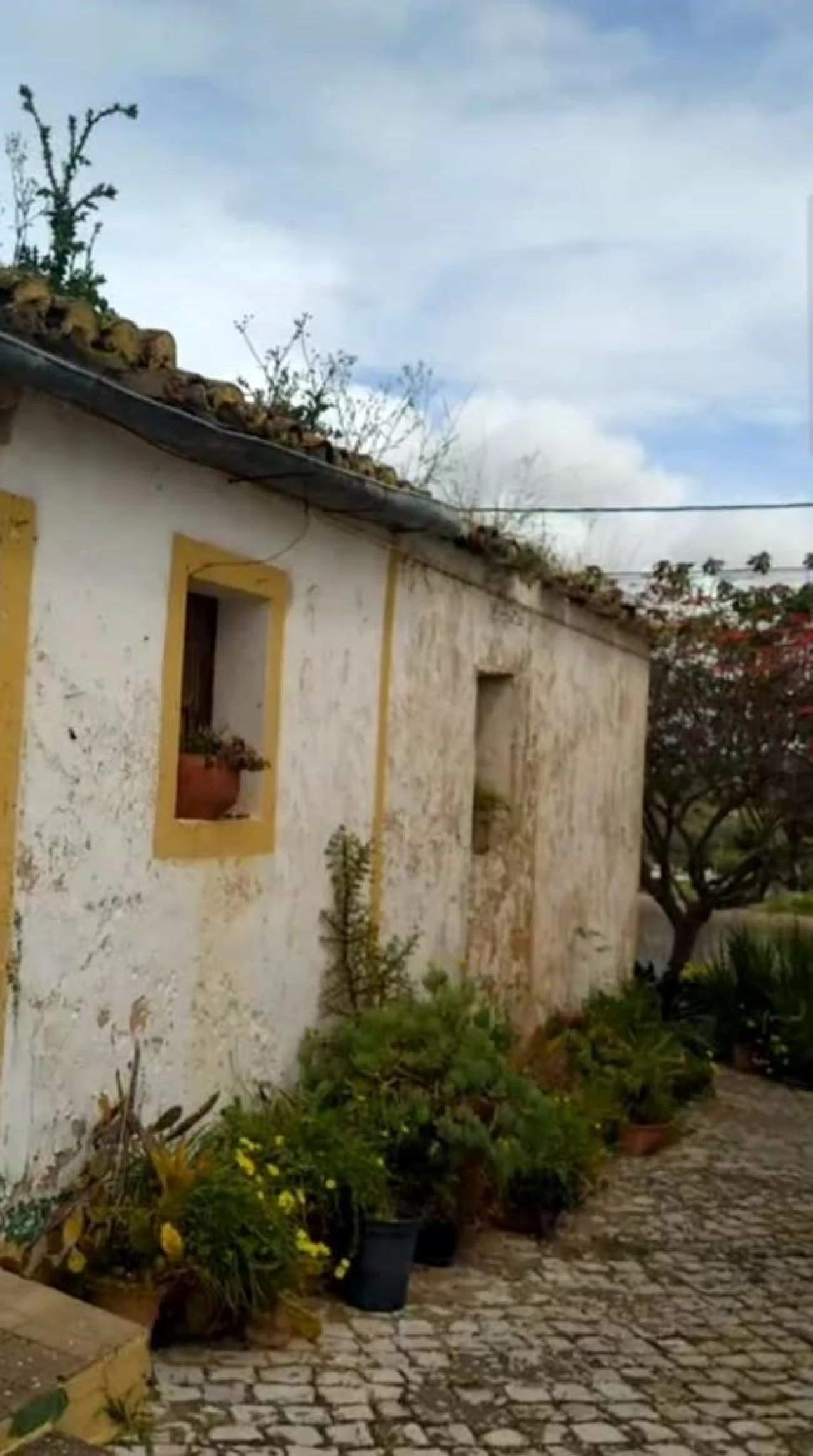 Terreno para Venda em São Silvestre Foto 6