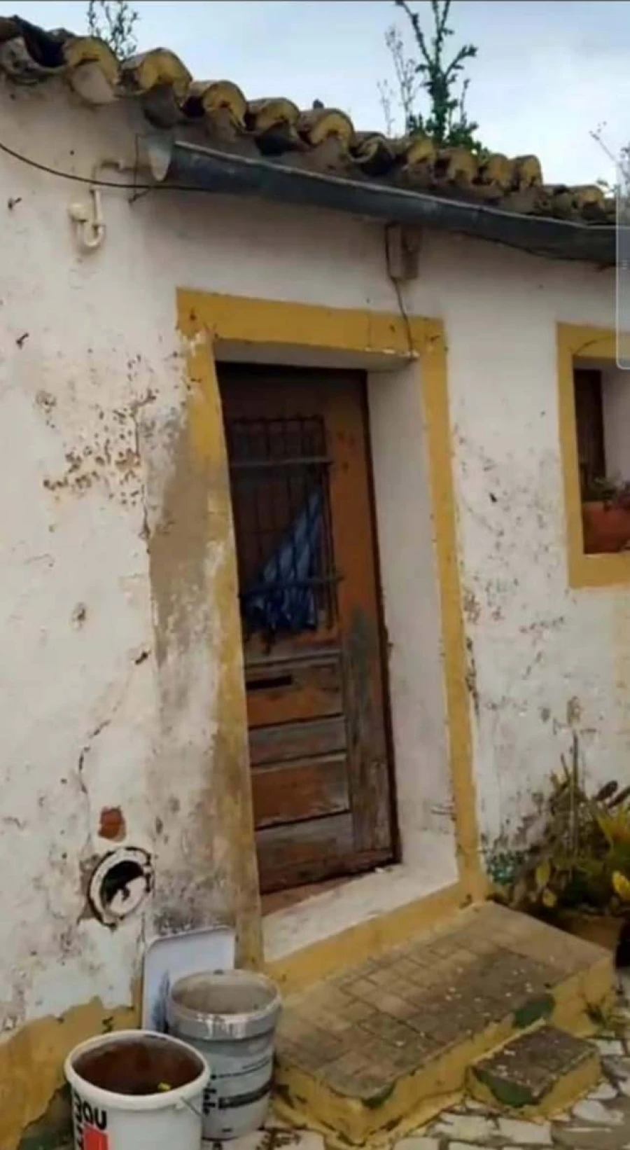 Terreno para Venda em São Silvestre Foto 7