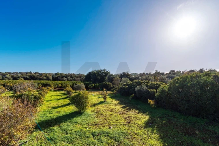 Moradia T3 para Venda em Loule (São Clemente) Foto 32