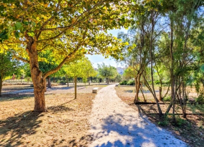 Moradia T4 para Venda em Vagos e Santo António Foto 27