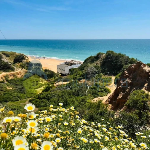 Apartamento T1 para Venda em Albufeira e Olhos de Água Foto 38