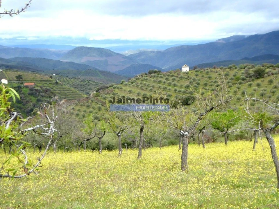 Terreno Agricola ou Rústico para Venda em Escalhão Foto 1