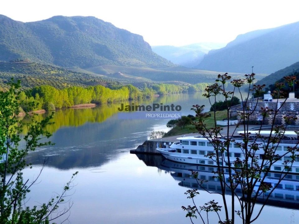 Terreno Agricola ou Rústico para Venda em Escalhão Foto 9