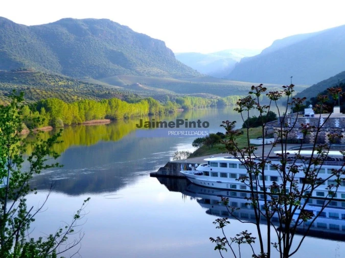 Terreno Agricola ou Rústico para Venda em Escalhão Foto 9