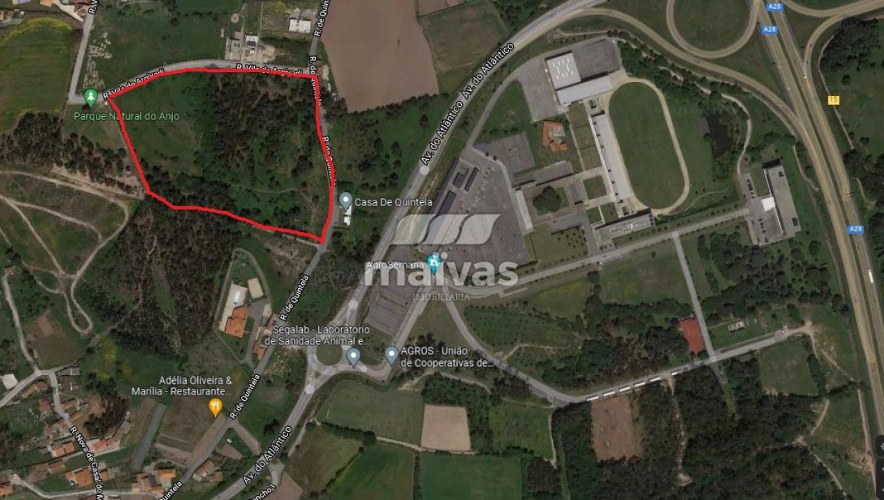 Terreno para Venda em Aguçadoura e Navais Foto 13