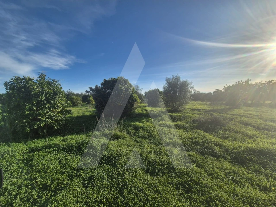 Terreno para Venda em Quarteira Foto 3