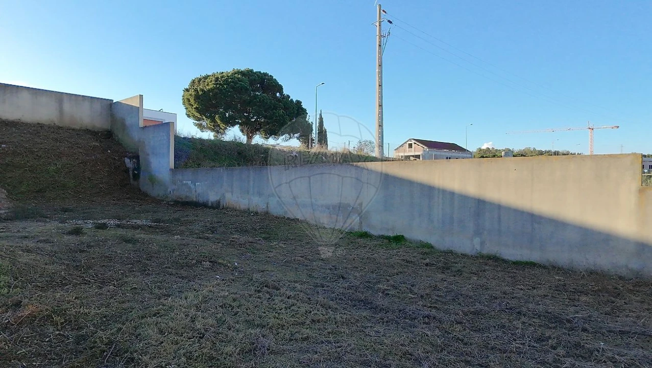 Terreno para Venda em Cartaxo e Vale da Pinta Foto 6
