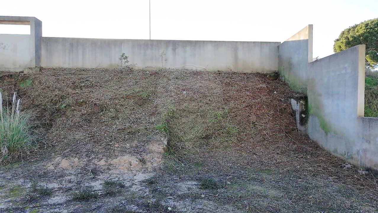 Terreno para Venda em Cartaxo e Vale da Pinta Foto 10
