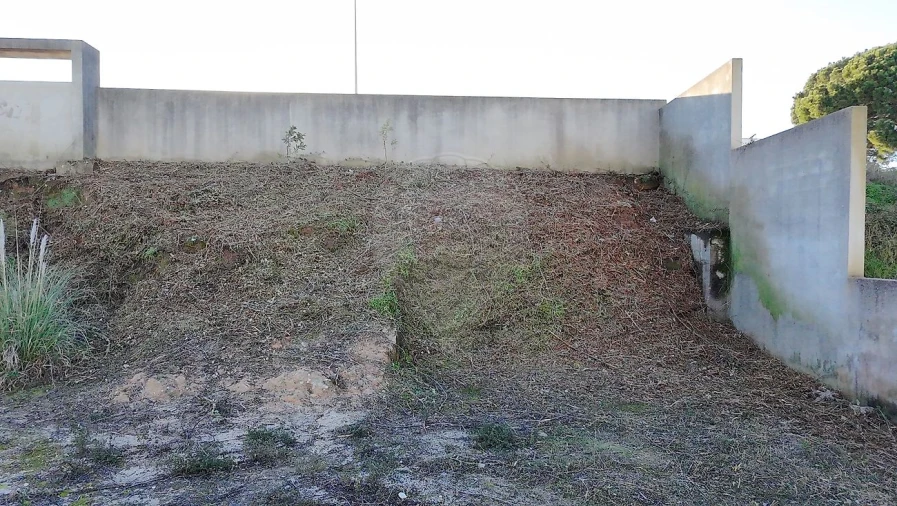 Terreno para Venda em Cartaxo e Vale da Pinta Foto 10