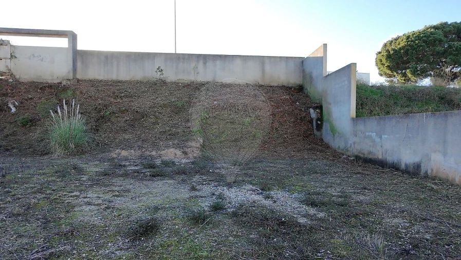 Terreno para Venda em Cartaxo e Vale da Pinta Foto 11