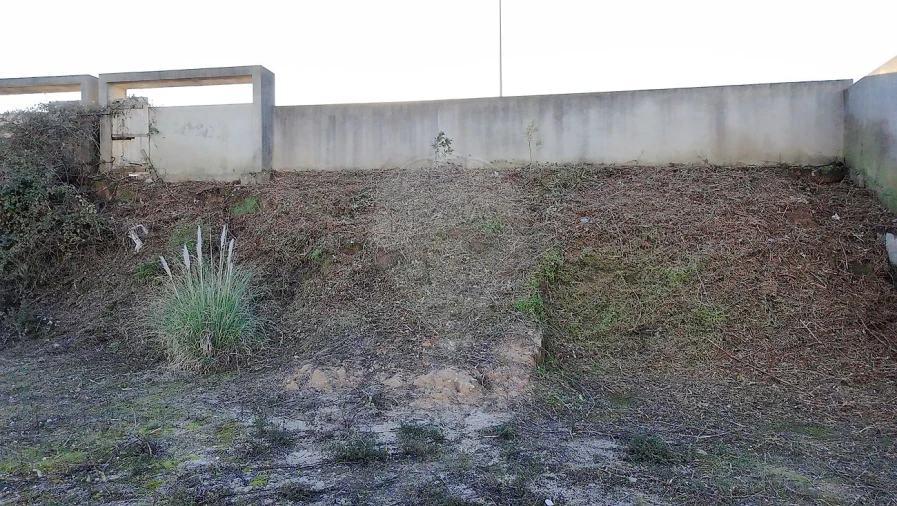 Terreno para Venda em Cartaxo e Vale da Pinta Foto 12