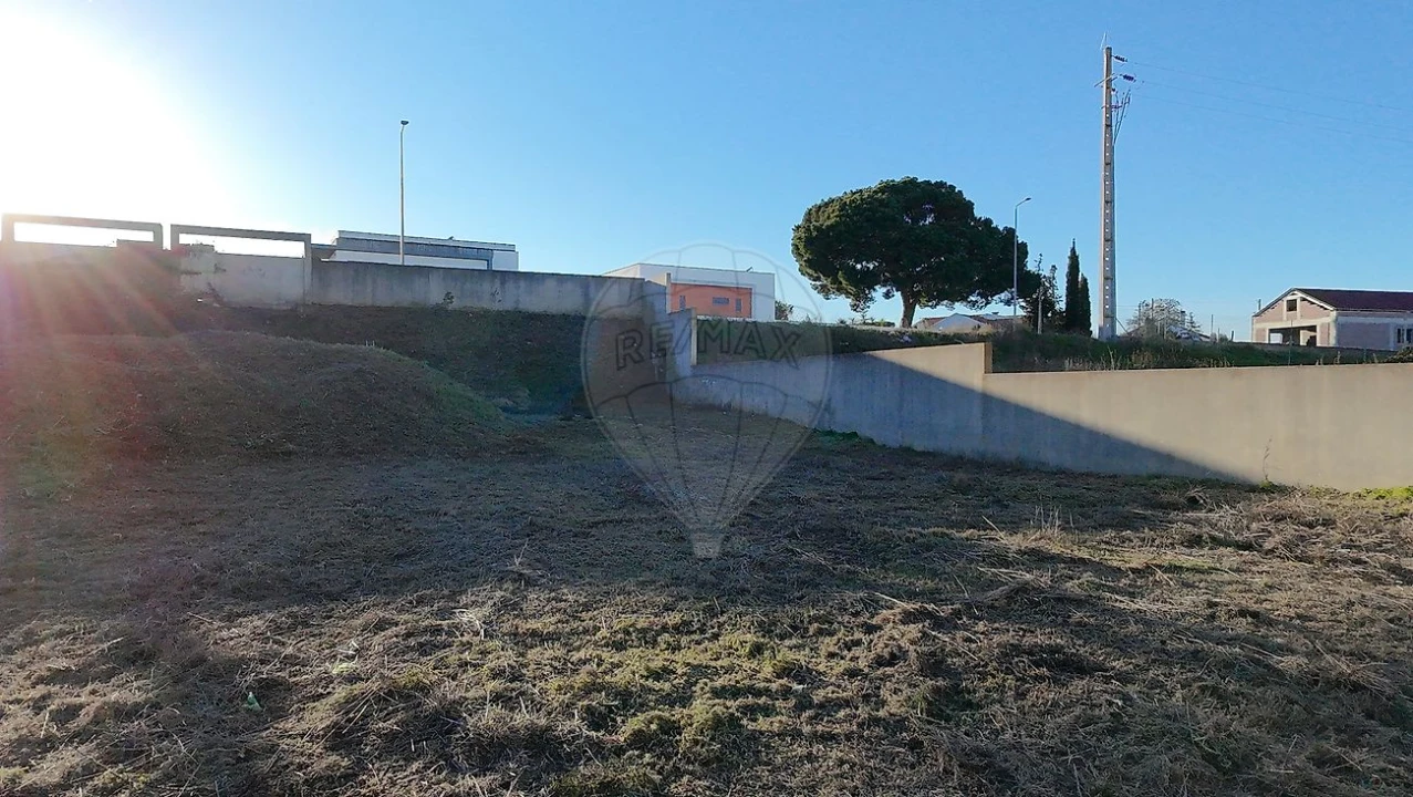 Terreno para Venda em Cartaxo e Vale da Pinta Foto 19