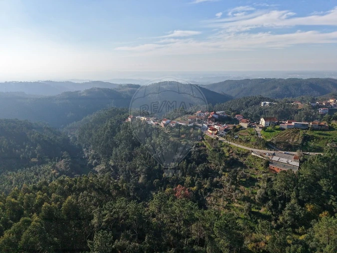 Apartamento T1 para Arrendamento em Eiras e São Paulo de Frades Foto 21