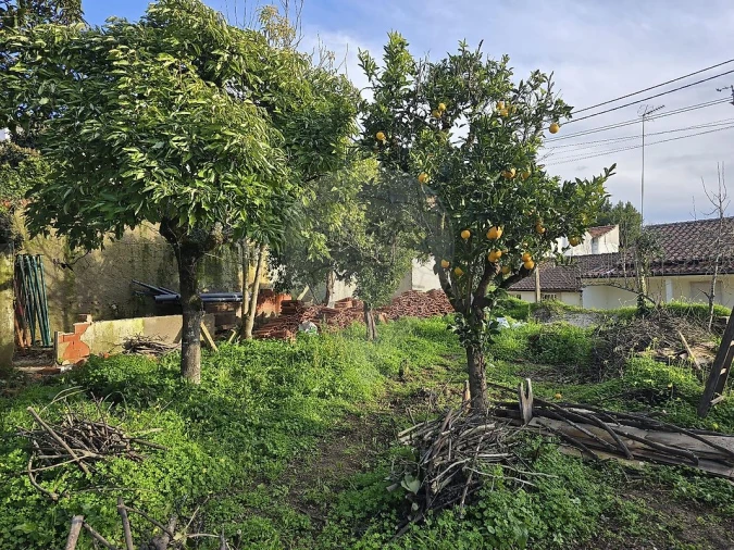 Moradia T3 para Venda em Vila Seca e Bem da Fé Foto 16