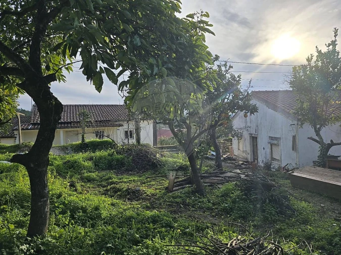 Moradia T3 para Venda em Vila Seca e Bem da Fé Foto 6
