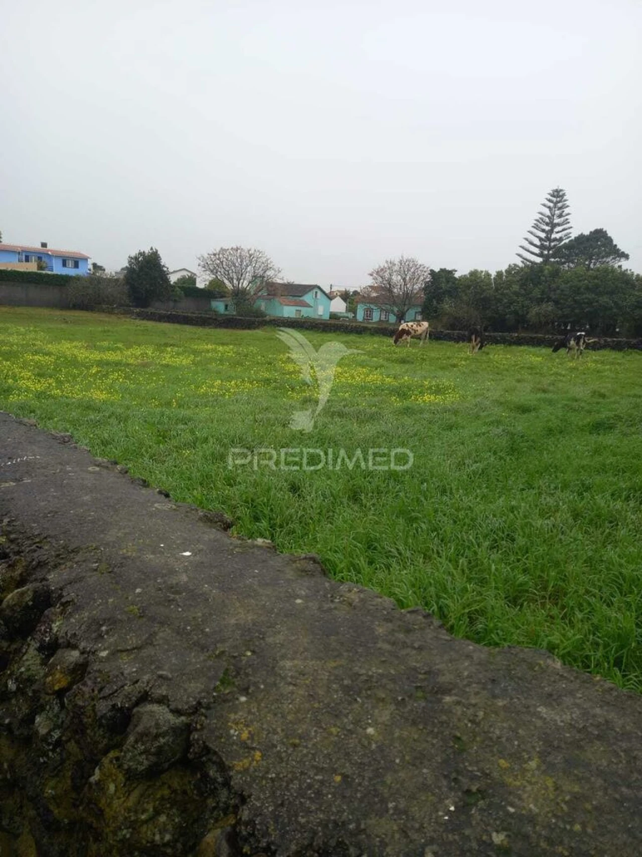 Terreno para Venda em Lajes Foto 2