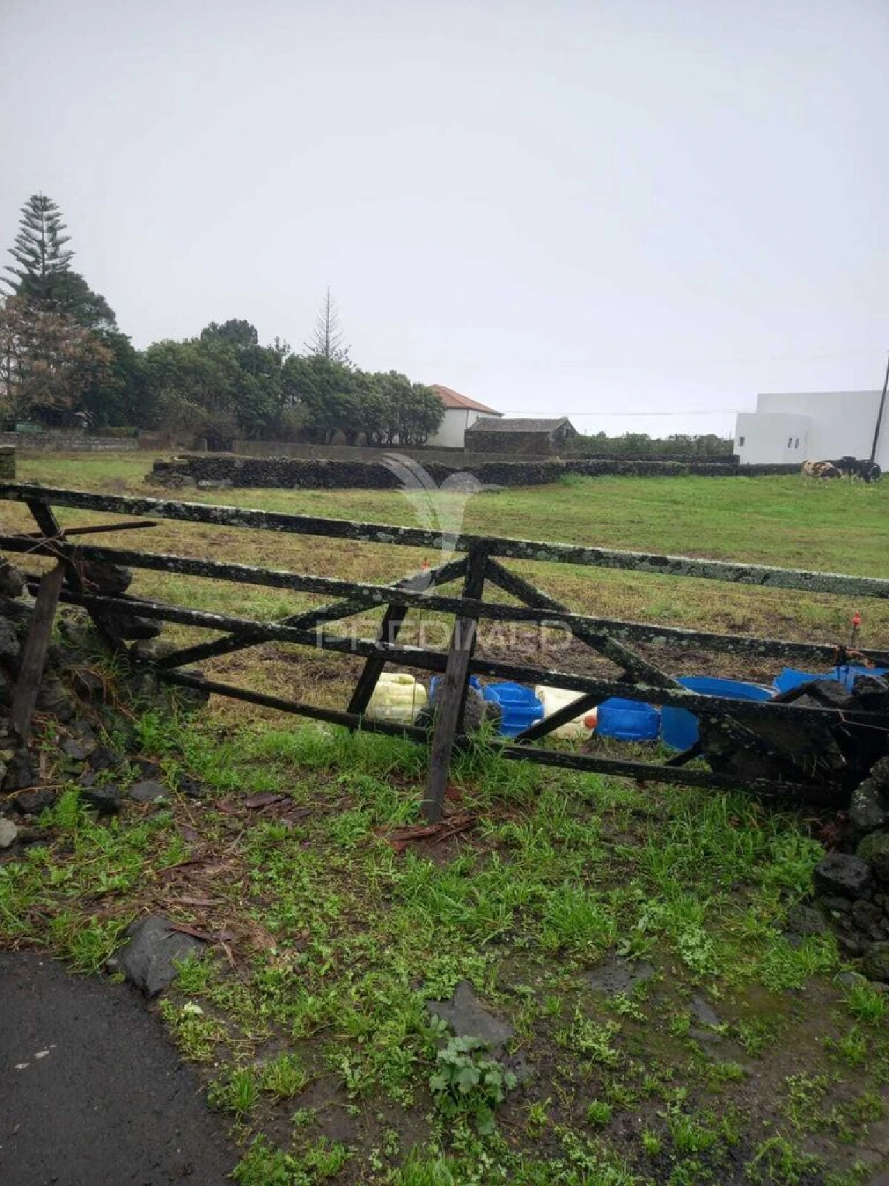 Terreno para Venda em Lajes Foto 4
