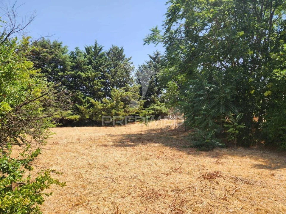 Quinta T6 para Venda em Barbacena e Vila Fernando Foto 5