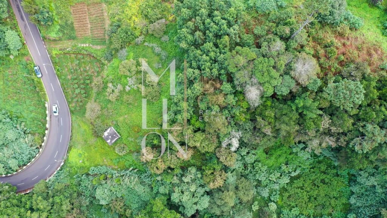 Terreno para Venda em Santana Foto 8