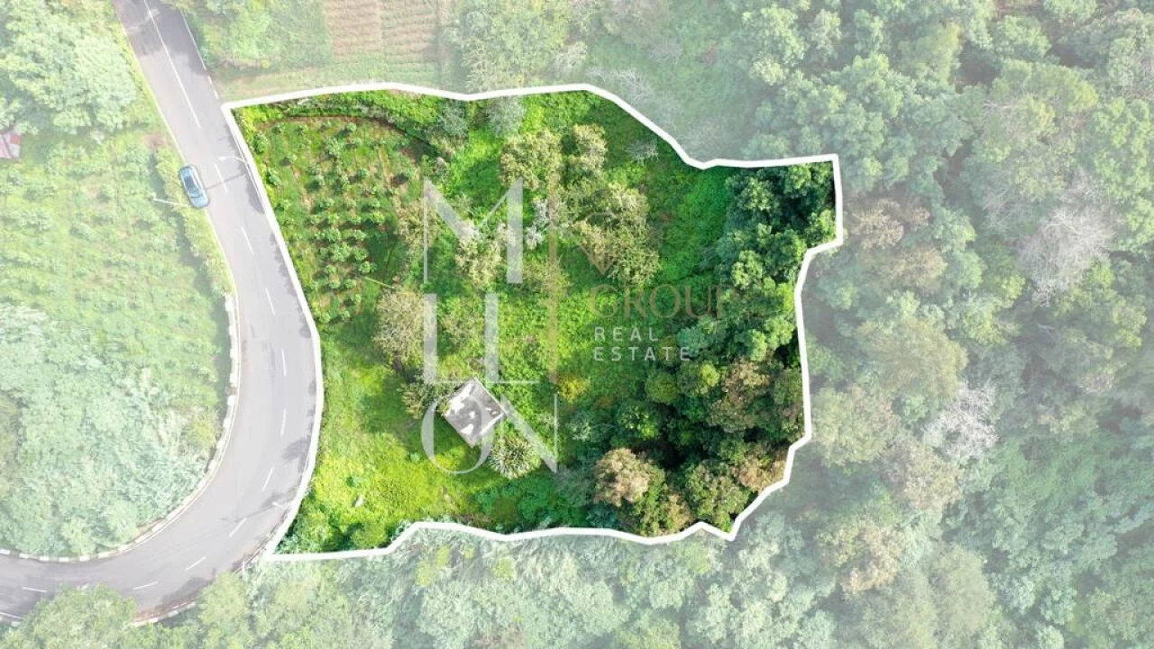 Terreno para Venda em Santana Foto 16