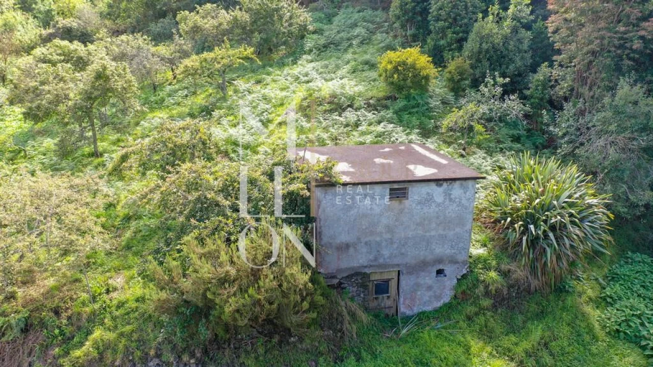 Terreno para Venda em Santana Foto 25