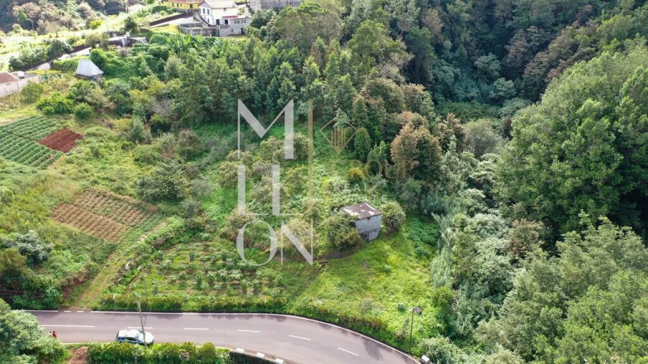 Terreno para Venda em Santana Foto 14