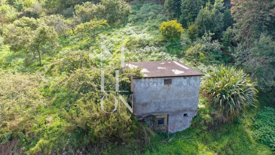 Terreno para Venda em Santana Foto 25