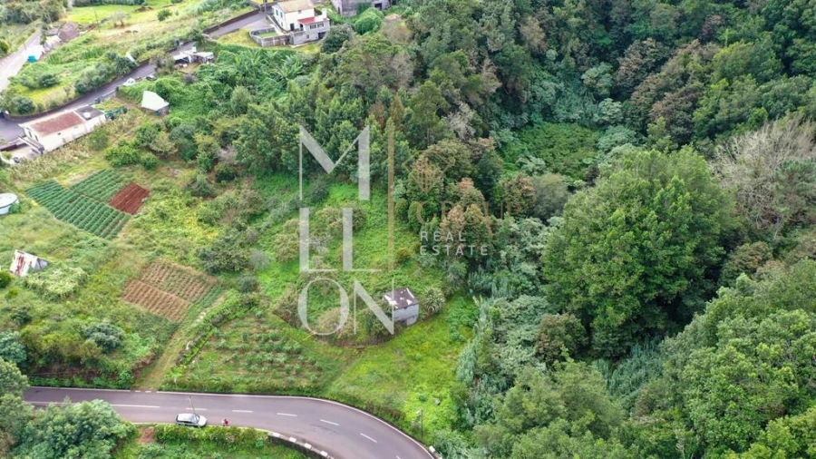 Terreno para Venda em Santana Foto 4