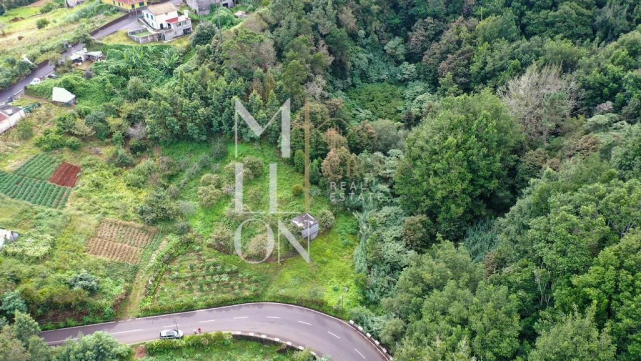 Terreno para Venda em Santana Foto 6